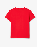 Camiseta Infantil Básica LC